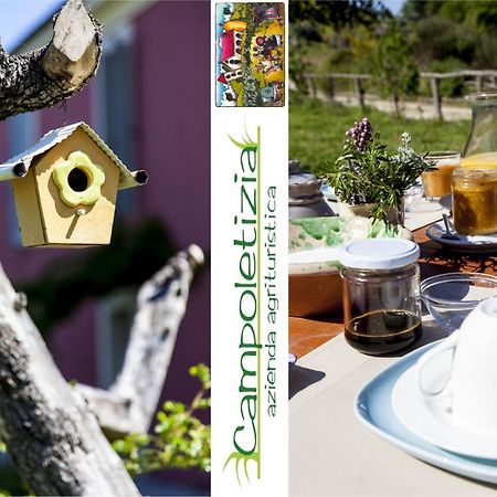 Agriturismo Campoletizia Miglianico Kültér fotó