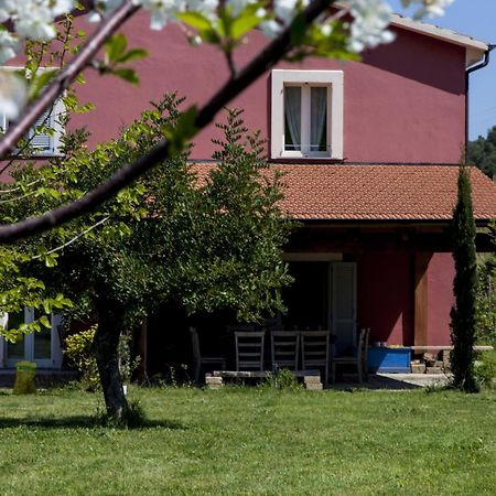 Agriturismo Campoletizia Miglianico Kültér fotó