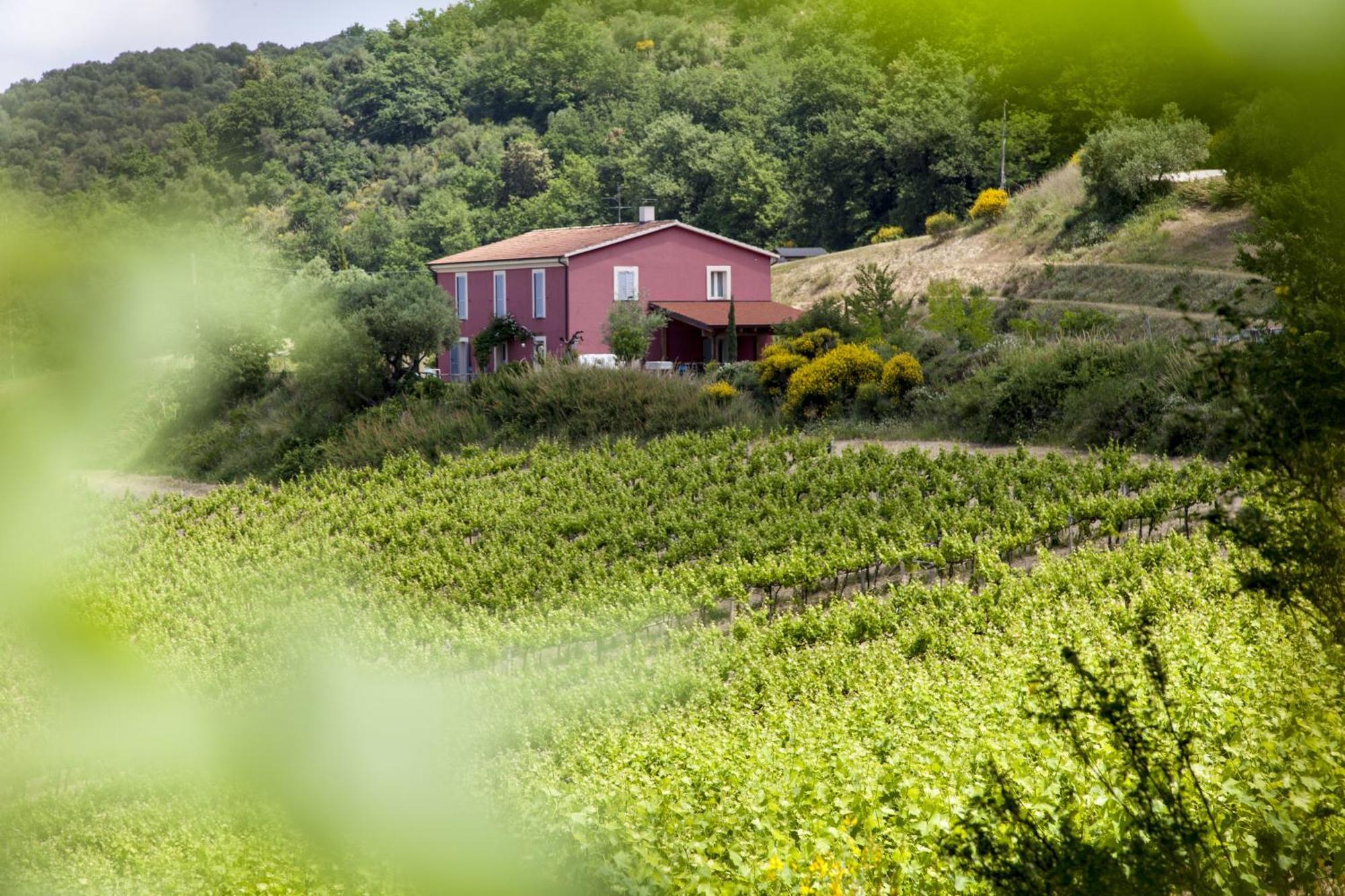 Agriturismo Campoletizia Miglianico Kültér fotó