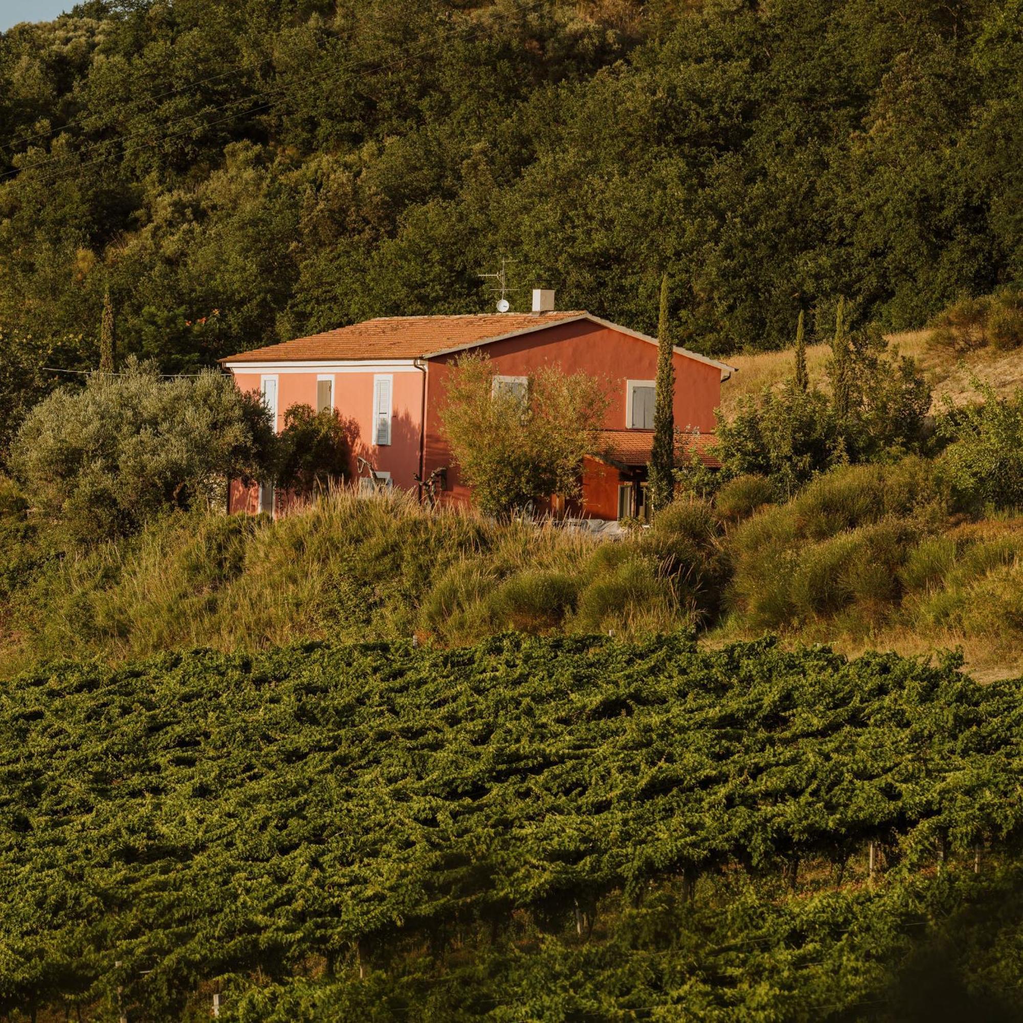 Agriturismo Campoletizia Miglianico Kültér fotó