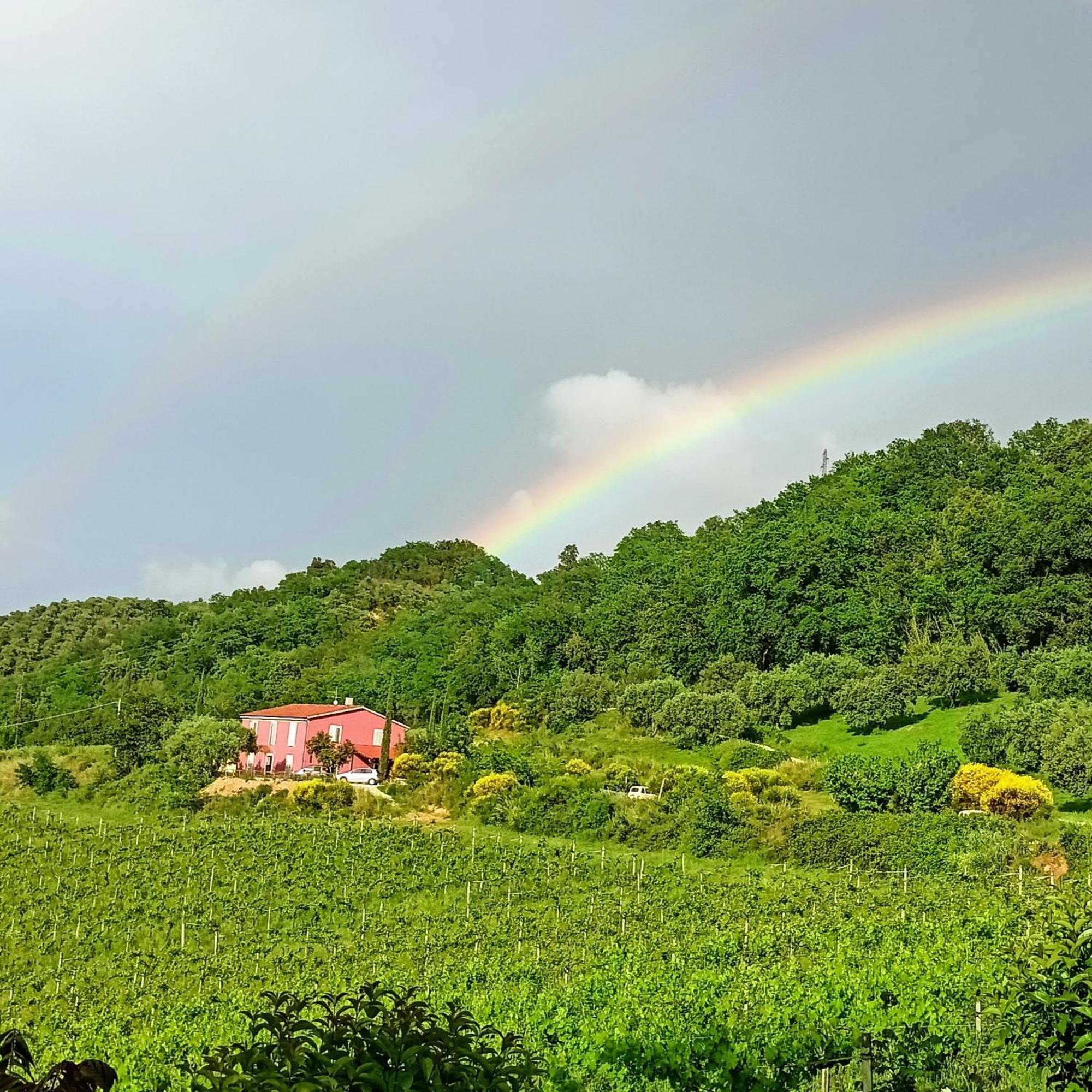 Agriturismo Campoletizia Miglianico Kültér fotó
